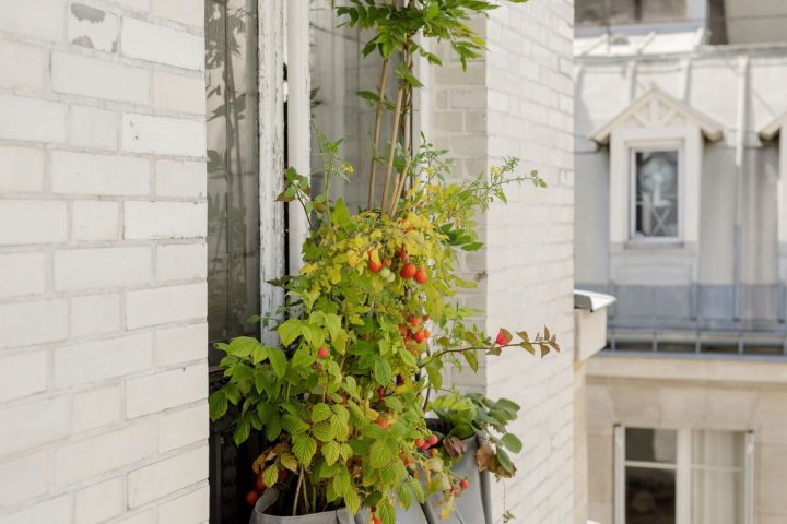 Vue Extérieure De L'Aménagement Des Balcons Avec Pauline encequiconcerne Meubles Monnier
