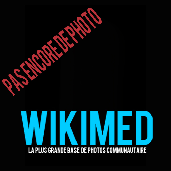Wikmed tout Chambre Implantable Cip