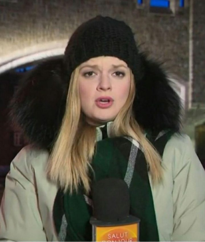 113 Best Geneviève Hébert Dumont Images On Pinterest avec Genevieve Hebert Dumont