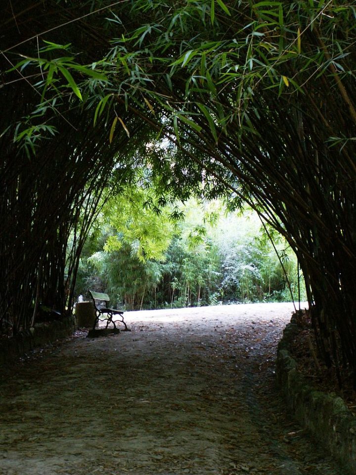 6 Plus Beaux Jardins De Lisbonne : Botanique, Secret Ou dedans Jardin Botanique Lisbonne