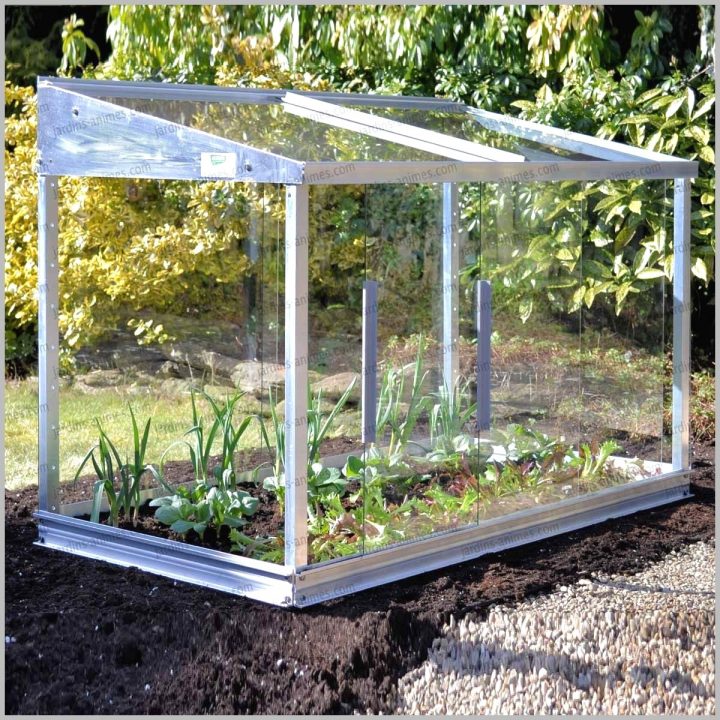 80 Serre De Jardin Castorama Inspiration De Dcor Con serapportantà Arceau De Jardin Castorama