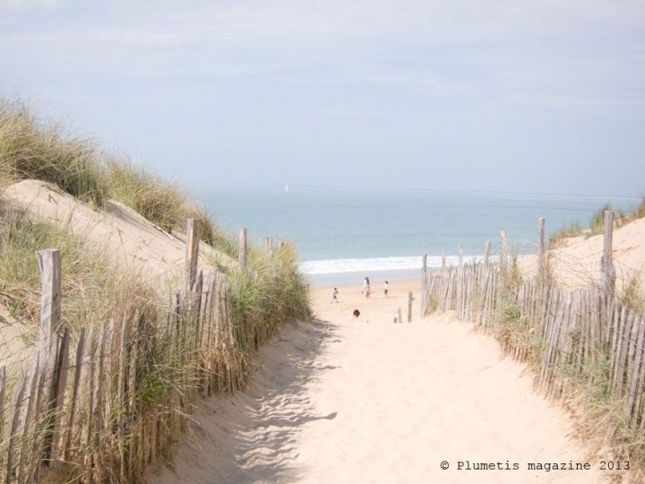 A L'Île De Ré | Ile De Majorque, Ile De Ré Et Ile De Reve dedans Le Soleil Doré Ile De Ré