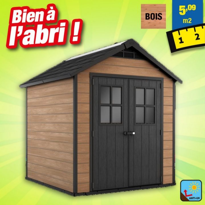 Abri Jardin Résine – 5M2 – Style Bois Naturel avec Abri De Jardin Metal 5M2 Abri Jardin Résine – 5M2 – Style Bois Naturel avec Abri De Jardin Metal 5M2