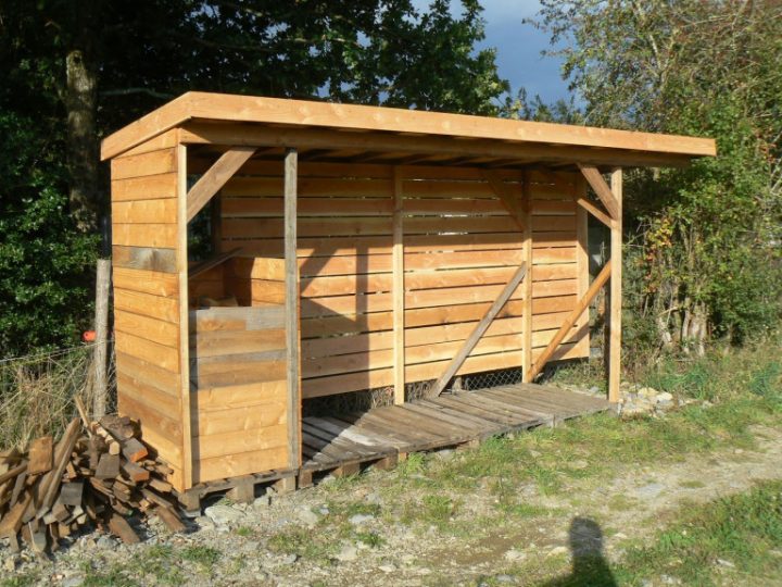 Abri Pour Bois De Chauffage Pas Cher – Jasontjohnson intérieur Abri En Bois Abri Pour Bois De Chauffage Pas Cher – Jasontjohnson intérieur Abri En Bois