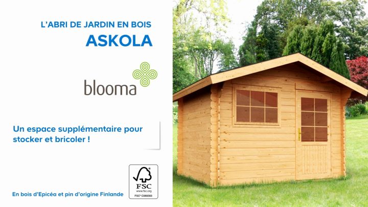 Abri Spa Castorama Génial Abri Bois Castorama – Oasis encequiconcerne Abris Spa Castorama