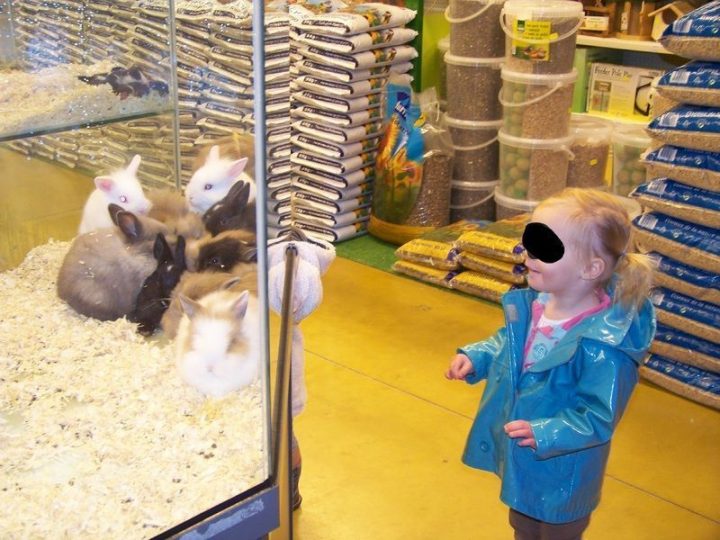 Activite Manuelle Enfant – Page 2 avec Vive Le Jardin Activite Manuelle Enfant – Page 2 avec Vive Le Jardin