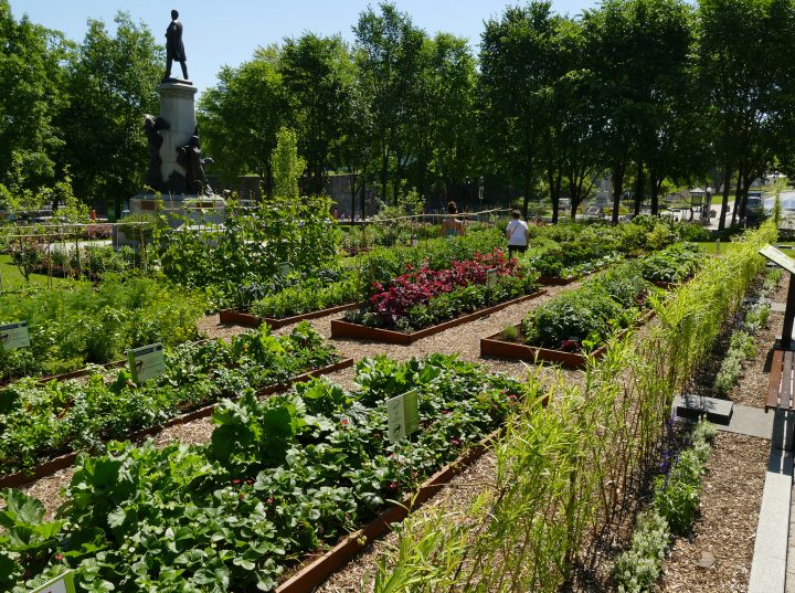 Agriculture Urbaine: Cultiver La Ville | Protégez-Vous.ca destiné Un Jardin En Ville