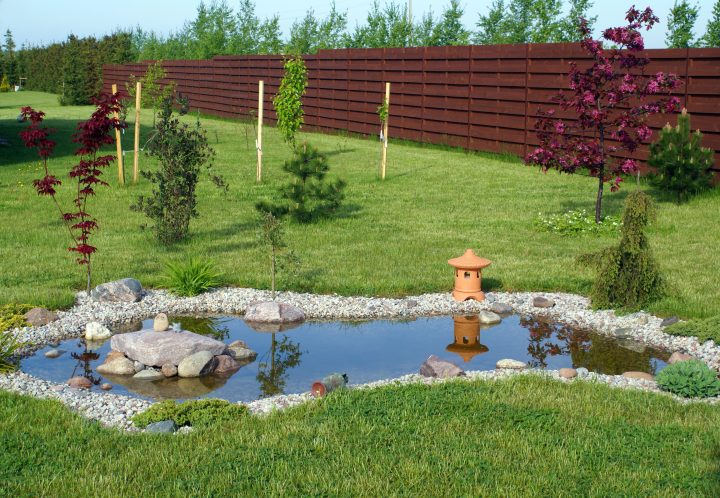 Aménagement De Bassin D'Eau & Jardin D'Eau | Fontaines, Cascades dedans Bassin De Jardin