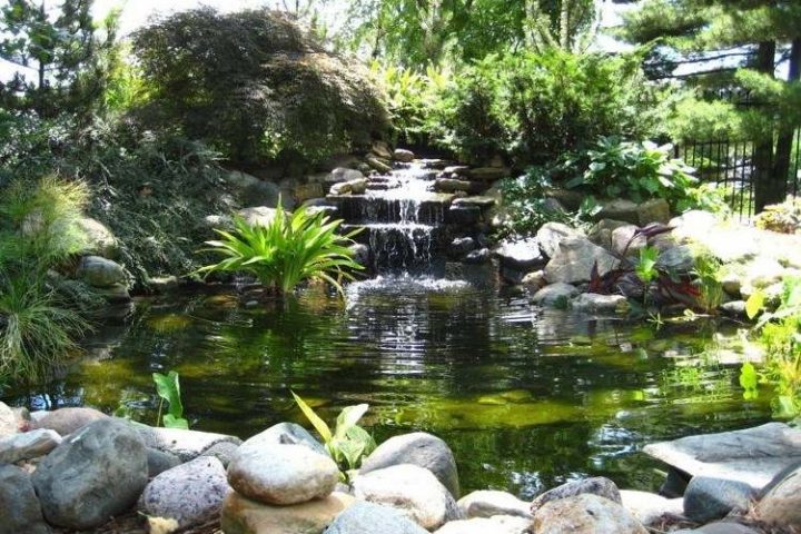 Aménager Une Cascade Ou Une Fontaine Sur Son Bassin De pour Cascade De Jardin Aménager Une Cascade Ou Une Fontaine Sur Son Bassin De pour Cascade De Jardin