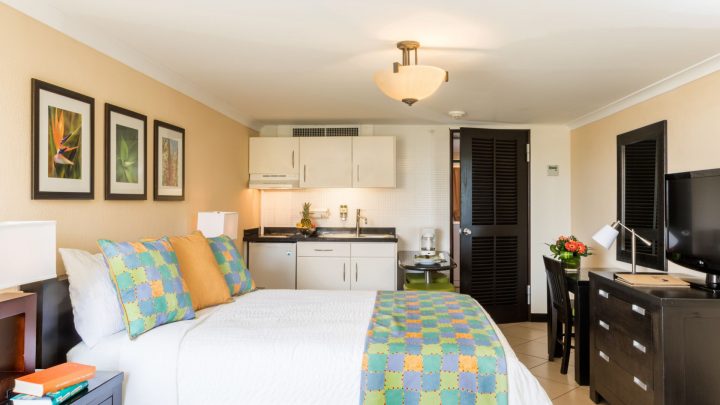 Appartement Jacuzzi Amsterdam | Enredada intérieur Enredada Hotel Appartement Jacuzzi Amsterdam | Enredada intérieur Enredada Hotel