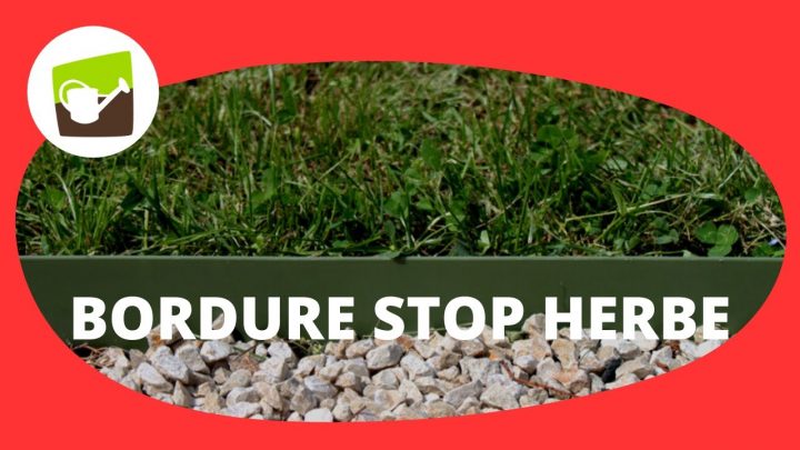 Apprenez À Utiliser La Bordure De Jardin Stop Herbe Avec serapportantà Bordure Jardin Plastique