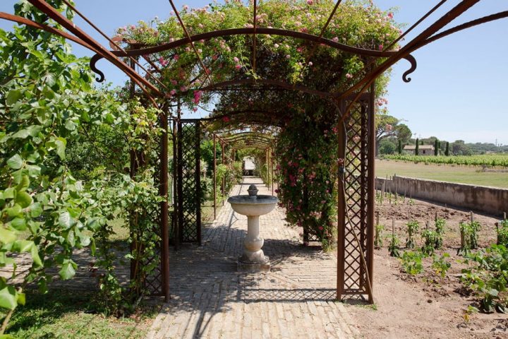 Arches De Jardin Fer Forgé – Savoirfer Ferronnier À Fréjus pour Arche De Jardin Fer Forgé Arches De Jardin Fer Forgé – Savoirfer Ferronnier À Fréjus pour Arche De Jardin Fer Forgé