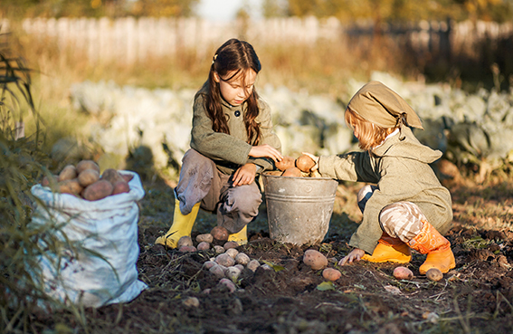 Astuces – La Jardinerie Tarnaise – Part 4 destiné La Jardinerie Tarnaise