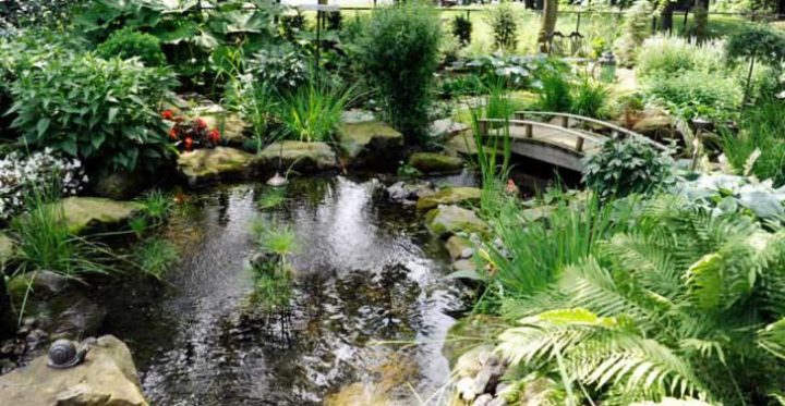 Backyard And Front Yard Landscaping Ideas – 1001 Gardens destiné Bassin De Jardin