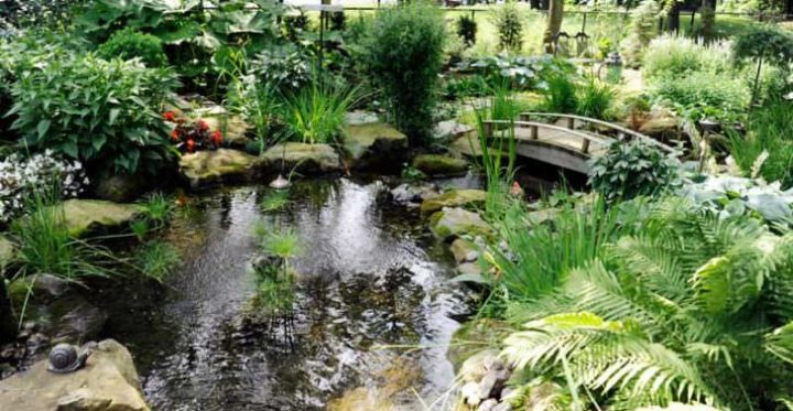 Backyard And Front Yard Landscaping Ideas – 1001 Gardens destiné Bassin De Jardin