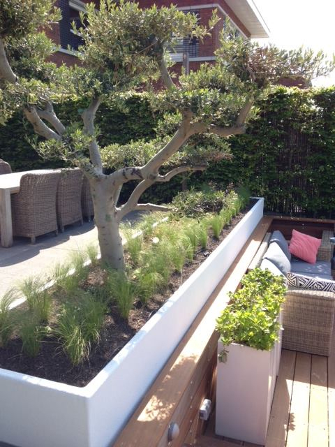 Berger Jardins – Le Jardin En Pente concernant Maison En Pente Douce