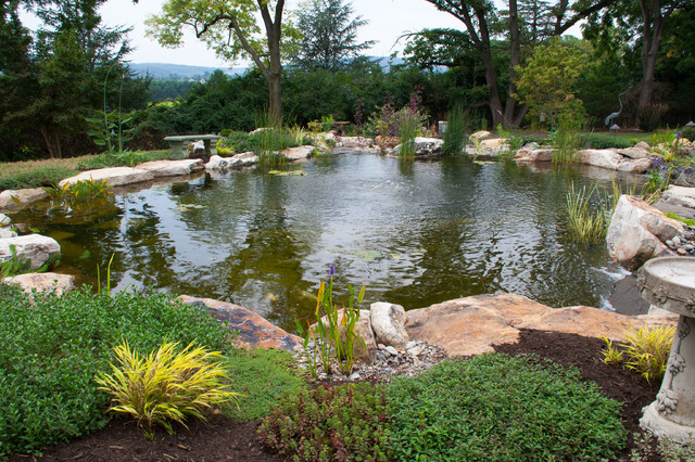 Berks County, Pa Pond & Waterfalls – Traditional – Landscape – Philadelphia – By Signature Pond dedans Bassin De Jardin