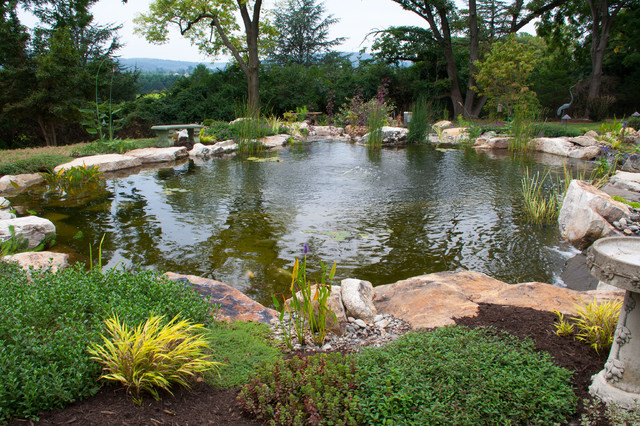 Berks County, Pa Pond & Waterfalls - Traditional - Landscape - Philadelphia - By Signature Pond dedans Bassin De Jardin Berks County, Pa Pond & Waterfalls - Traditional - Landscape - Philadelphia - By Signature Pond dedans Bassin De Jardin