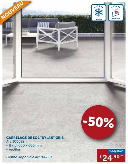 Brico Depot Plinthe Carrelage – Acoliheritage concernant Sikaflex T2 Castorama Brico Depot Plinthe Carrelage – Acoliheritage concernant Sikaflex T2 Castorama