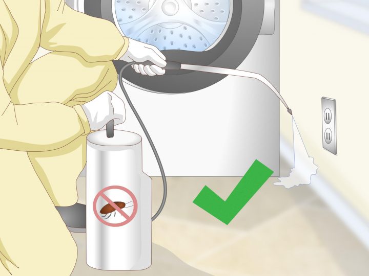 Cafard De Jardin Frais 4 Mani¨res De Se Débarrasser Des tout Cafard De Jardin