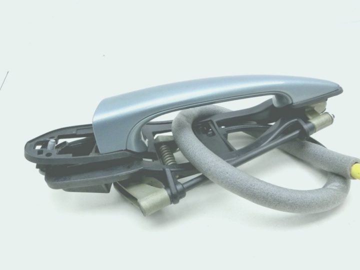 Cafard De Jardin Unique Belle Cafard De Jardin Wikipedia destiné Cafard De Jardin