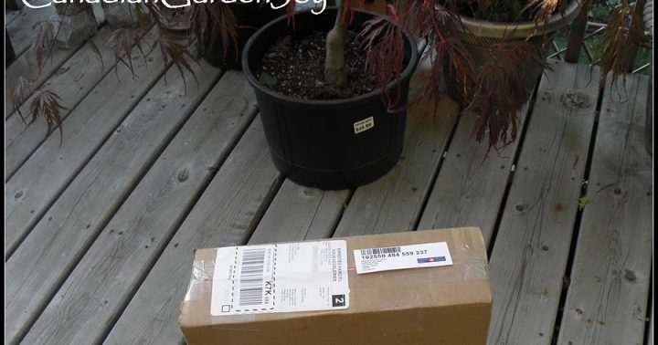 Canadiangardenjoy: Garden Import Mail Order Review intérieur Import Garden