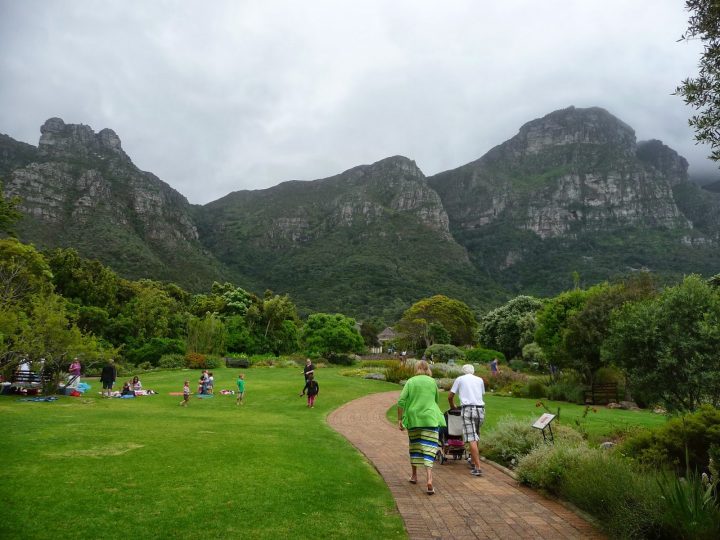 Cape Town Et L'Afrique Du Sud: Le Plus Beau Jardin D'Afrique intérieur Jardin Du Sud Cape Town Et L'Afrique Du Sud: Le Plus Beau Jardin D'Afrique intérieur Jardin Du Sud