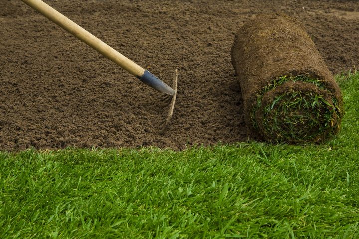 Caring For Newly Sodded Lawns – Lawn Care And Sprinkler intérieur Rouleau À Gazon Bricodepot