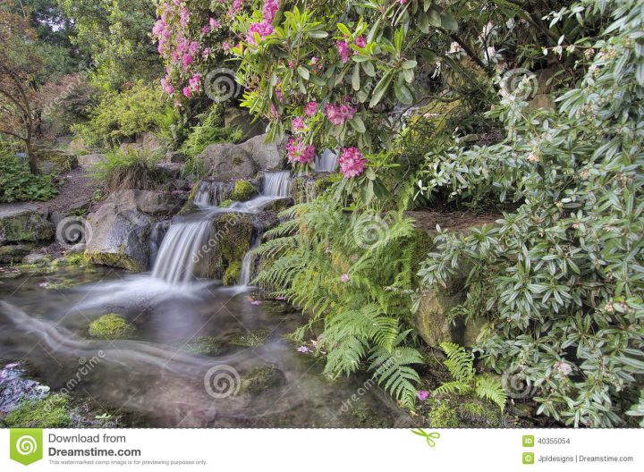 Cascade De Jardin Au Printemps Photo Stock – Image Du concernant Cascade De Jardin Cascade De Jardin Au Printemps Photo Stock – Image Du concernant Cascade De Jardin