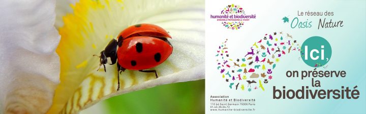 Chambre D Hote Jacuzzi Rhone Alpes | Revista Discobolo avec Chambre Avec Jacuzzi Privatif Lyon Chambre D Hote Jacuzzi Rhone Alpes | Revista Discobolo avec Chambre Avec Jacuzzi Privatif Lyon