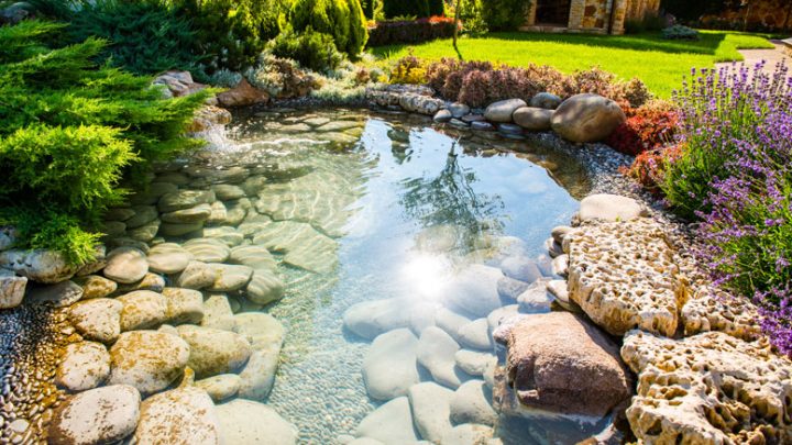 Comment Choisir Son Bassin De Jardin ? | Au Jardin D'Ys pour Bassin De Jardin