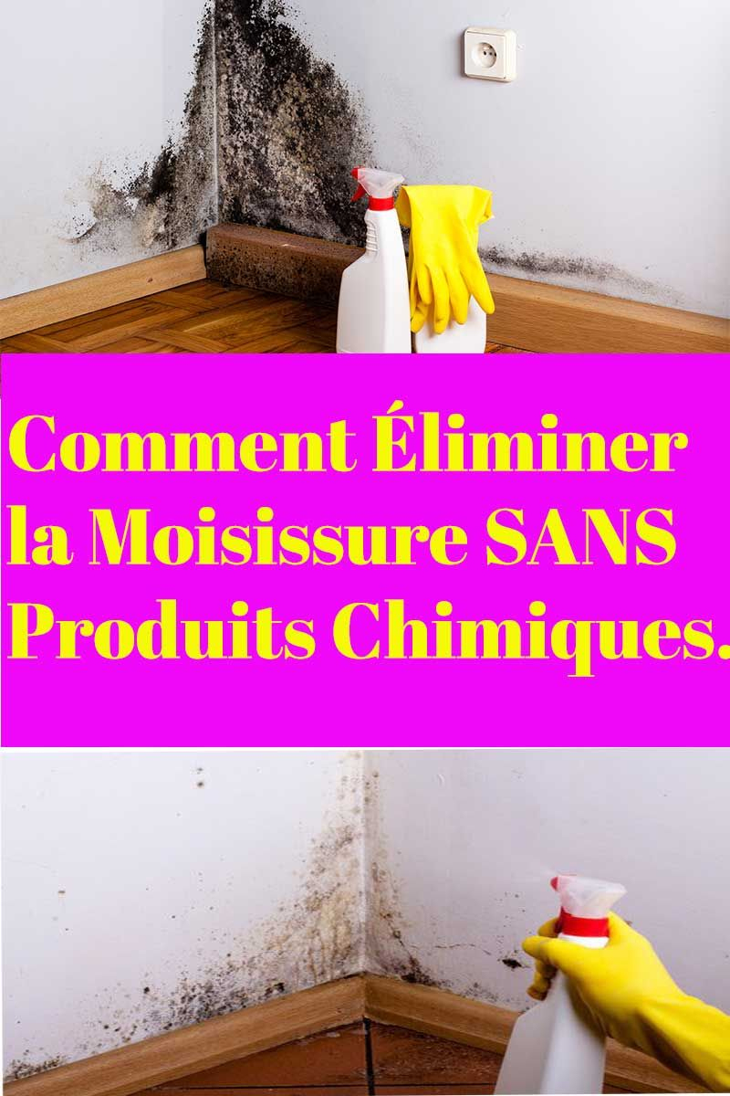 Comment Éliminer La Moisissure Sans Produits Chimiques avec Comment Décaper Un Meuble Sans