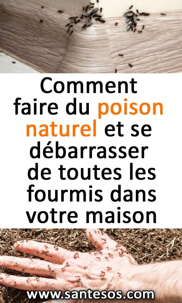 Comment Faire Du Poison Naturel Et Se Débarrasser De destiné Comment Se Débarrasser Des Fourmis Dans Le Jardin