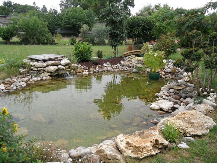 Construction Et Aménagement De Bassins De Jardin – Lantana Paysage destiné Bassin De Jardin