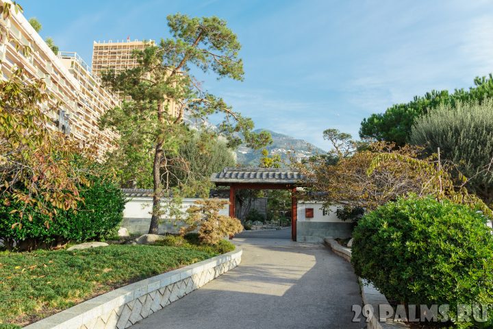 Японский Сад В Монако (Jardin Japonais De Monaco) > 29 serapportantà Jardin Japonais Monaco