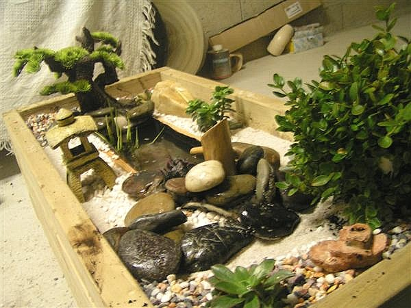 Deco Exterieur Avec Palmier – Akabi encequiconcerne Jardin Zen Miniature Jardiland