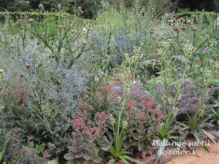 Des Associations De Couleurs – Arrosoirs Et Sécateurs (Med serapportantà Arrosoirs Et Sécateurs