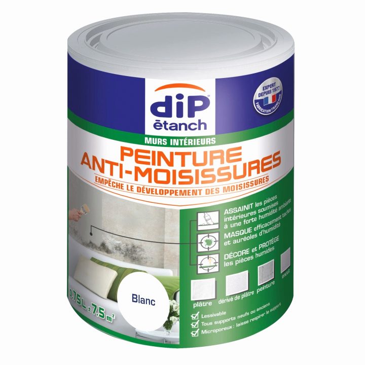 Dip Etanche Leroy Merlin Génial Peinture Anti Bruit Avec serapportantà Peinture Etanche