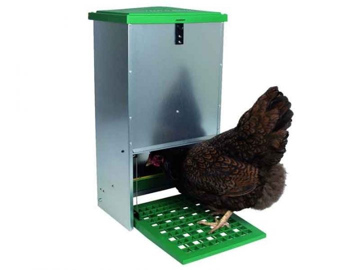 Elevage Volaille – Mangeoire Trémie Anti-Nuisibles 20 Kg avec Mangeoire Anti Nuisible