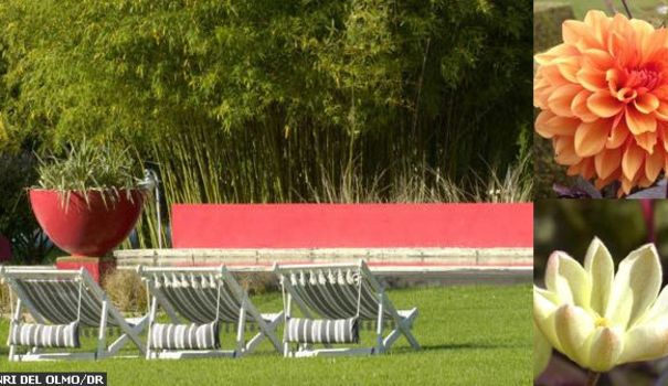 En Mars : Vive Le Retour Du Printemps Au Jardin ! – Côté Maison à Vive Le Jardin En Mars : Vive Le Retour Du Printemps Au Jardin ! – Côté Maison à Vive Le Jardin