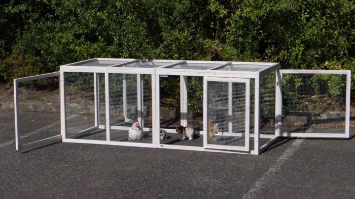 Enclos / Parc Grillagé Blanc Cielterre-Commerce encequiconcerne Grillage A Poule Hauteur 50 Cm Brico Dépôt