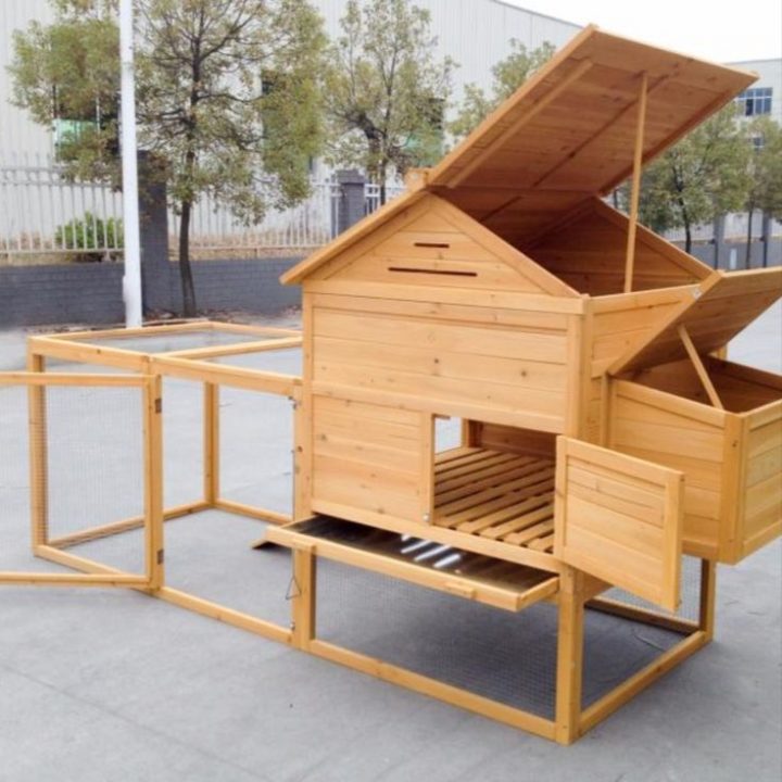 Épinglé Sur Poulaillers —> Www.cielterre-Commerce.fr serapportantà Cielterre-Commerce Épinglé Sur Poulaillers —> Www.cielterre-Commerce.fr serapportantà Cielterre-Commerce