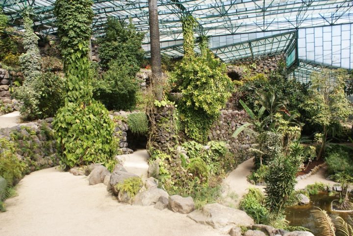 Estufa Fria, Les Serres Froides De Lisbonne pour Jardin Botanique Lisbonne