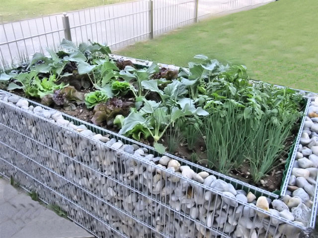 Fabriquer Un Bac À Fleur En Bois De Palette Luxe Tuto Bac dedans Carré Potager Brico Depot