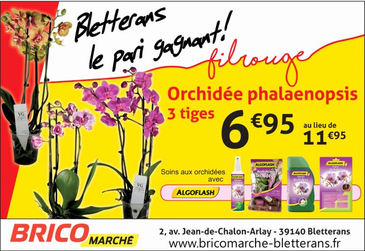 Fabriquer Un Carport Soi-Meme – Altoservices avec Traverse Paysagère Bricomarché Fabriquer Un Carport Soi-Meme – Altoservices avec Traverse Paysagère Bricomarché