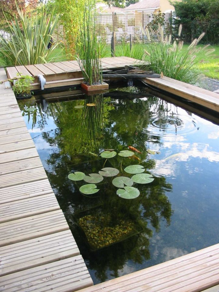 Fans De Bassins Et Jardins dedans Bassin De Jardin