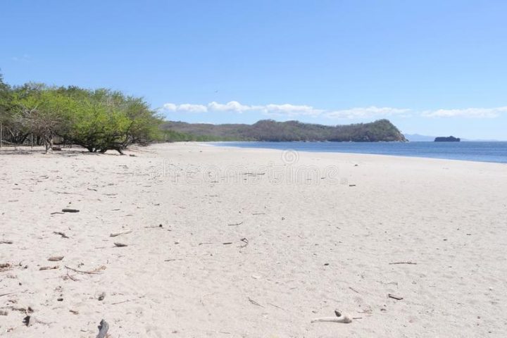 Flor Photos Stock – Téléchargez 8,152 Photos Libres De Droits à Piscine Bois Laranja