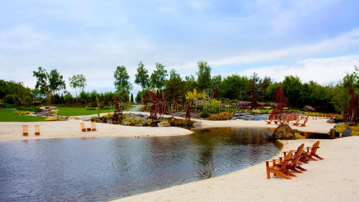 Flor Photos Stock – Téléchargez 8,152 Photos Libres De Droits tout Piscine Bois Laranja