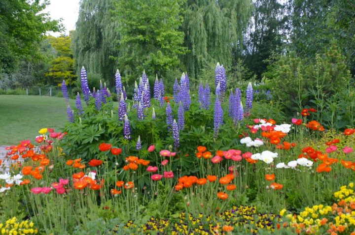 Galerie Photo Des Martels : Le Jardin Au Printemps à Jardin Des Martels Galerie Photo Des Martels : Le Jardin Au Printemps à Jardin Des Martels