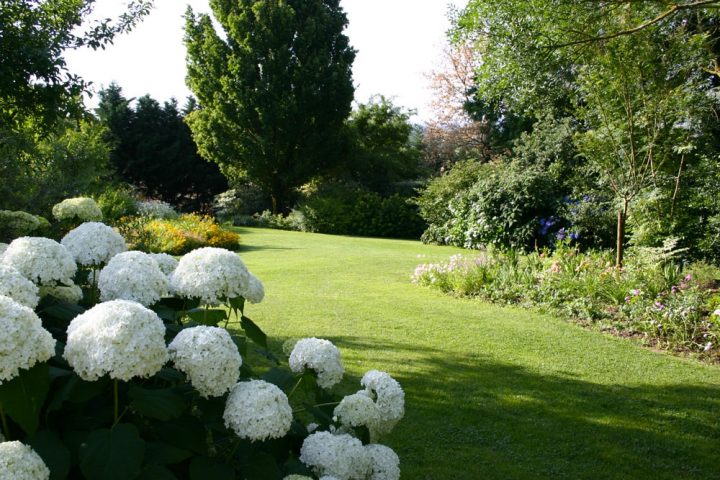 Galerie Photo Des Martels : Le Jardin En Été à Jardin Des Martels Galerie Photo Des Martels : Le Jardin En Été à Jardin Des Martels